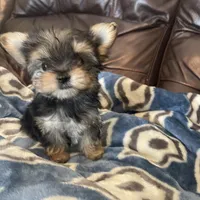 processed/564af6e2-df25-49b3-b880-a54d02c6a66b/facility/232e799c-a379-4186-92d1-878566b3a5c7