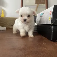 processed/564af6e2-df25-49b3-b880-a54d02c6a66b/facility/72e1a52b-77bb-420c-b8e8-ccd637a80f67