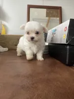 processed/564af6e2-df25-49b3-b880-a54d02c6a66b/facility/72e1a52b-77bb-420c-b8e8-ccd637a80f67