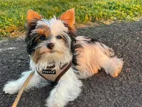 processed/564af6e2-df25-49b3-b880-a54d02c6a66b/facility/8bddae58-714a-4350-bbb7-9e210a6cf7a4