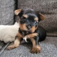 processed/564af6e2-df25-49b3-b880-a54d02c6a66b/facility/e2604759-da8d-496d-b6a5-e851c487aa95