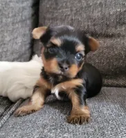 processed/564af6e2-df25-49b3-b880-a54d02c6a66b/facility/e2604759-da8d-496d-b6a5-e851c487aa95