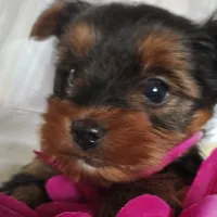 processed/564af6e2-df25-49b3-b880-a54d02c6a66b/listing/3ea2230c-81e2-435f-9b48-56a7f723d480/bd19f08c-a7f8-4924-854b-79ea5b71d076