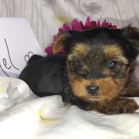 processed/564af6e2-df25-49b3-b880-a54d02c6a66b/listing/3ea2230c-81e2-435f-9b48-56a7f723d480/cba86586-b9d0-473e-aa32-1071e74642e4