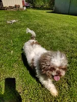 processed/564af6e2-df25-49b3-b880-a54d02c6a66b/listing/69253ebd-a6f7-4008-9070-f5ad9024e4fd/d30b7e9d-10f4-4270-8d4f-886735aab54d