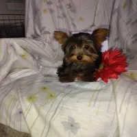 processed/564af6e2-df25-49b3-b880-a54d02c6a66b/listing/6da91939-1cb6-4e07-8f44-167282d1c240/77e09b24-8c44-4ecd-8b8e-ff97b7474ef3