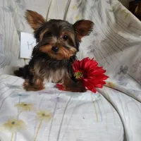 processed/564af6e2-df25-49b3-b880-a54d02c6a66b/listing/6da91939-1cb6-4e07-8f44-167282d1c240/d153b716-0dc9-472c-a049-6c99d8aab01d