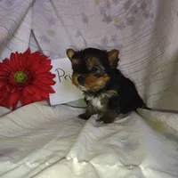 processed/564af6e2-df25-49b3-b880-a54d02c6a66b/listing/e0cda5ff-9d9b-40d9-8d20-b830edf88bf6/ac7f9be7-410a-482c-95cd-2a47ff727eba