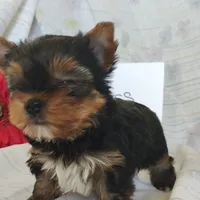 processed/564af6e2-df25-49b3-b880-a54d02c6a66b/listing/e0cda5ff-9d9b-40d9-8d20-b830edf88bf6/d590350a-7d2d-486d-b179-56fe2577bbfb