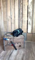 Dolly, a female Labrador Retriever for sale in Athens, AL – 1 of 1