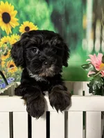 processed/56758b4e-966c-4399-8eda-d49ede10959f/listing/36eeb040-b17c-4d5f-864d-4b63ede3ec2d/e26e0333-41a6-4e25-89ff-432dbbfff0e6