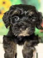 processed/56758b4e-966c-4399-8eda-d49ede10959f/listing/36eeb040-b17c-4d5f-864d-4b63ede3ec2d/fd2c8033-18f2-4228-90b4-62b5cc661c9f