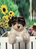 processed/56758b4e-966c-4399-8eda-d49ede10959f/listing/5fc43bfe-9263-4daa-a274-d2e0f2d4267a/6e623282-de82-4e7e-988a-075e0367e954