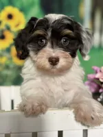 processed/56758b4e-966c-4399-8eda-d49ede10959f/listing/5fc43bfe-9263-4daa-a274-d2e0f2d4267a/fa668697-0df9-4b61-8206-d20d6d019508