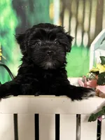 processed/56758b4e-966c-4399-8eda-d49ede10959f/listing/bf407c04-2032-4b5a-afbe-5df17d1160d0/442255eb-ec9a-49a6-8839-c412bfe38b25