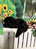 processed/56758b4e-966c-4399-8eda-d49ede10959f/listing/bf407c04-2032-4b5a-afbe-5df17d1160d0/78eacbc2-b057-4600-9a94-704aca440945