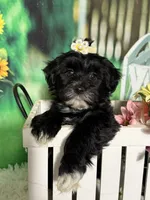 processed/56758b4e-966c-4399-8eda-d49ede10959f/listing/db1abc2e-875b-4b69-9eed-574acdc27b45/1040ffb1-4aec-4cc1-8a2d-674d474fa38a