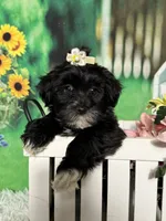 processed/56758b4e-966c-4399-8eda-d49ede10959f/listing/db1abc2e-875b-4b69-9eed-574acdc27b45/357642c8-49b7-4227-8b78-858b33fcd7a1