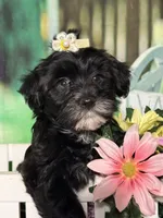 processed/56758b4e-966c-4399-8eda-d49ede10959f/listing/db1abc2e-875b-4b69-9eed-574acdc27b45/5454f4cb-f149-4a83-90d0-5cb230f39d7a