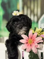 processed/56758b4e-966c-4399-8eda-d49ede10959f/listing/db1abc2e-875b-4b69-9eed-574acdc27b45/a62d380c-054d-4126-a93a-2c22b04599be