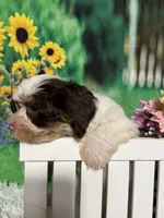 processed/56758b4e-966c-4399-8eda-d49ede10959f/listing/f2cc5228-069d-4f2d-ae8e-cbb845bde5c9/23da0c2a-84b5-40f7-82a9-6a6a952cd28e