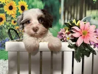 processed/56758b4e-966c-4399-8eda-d49ede10959f/listing/f2cc5228-069d-4f2d-ae8e-cbb845bde5c9/8c087561-9d83-40fb-a7fa-4b77b5049c37