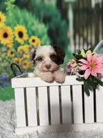 processed/56758b4e-966c-4399-8eda-d49ede10959f/listing/f2cc5228-069d-4f2d-ae8e-cbb845bde5c9/dd8a5b95-b6e1-40e5-8498-3ebf1a19c435