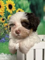 processed/56758b4e-966c-4399-8eda-d49ede10959f/listing/f2cc5228-069d-4f2d-ae8e-cbb845bde5c9/fb33e155-2a47-49d2-b7ec-706a8f7a02b1