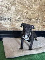 processed/567d3d52-13c8-4ff0-a9b6-3fafe7ec28d5/listing/a5addff4-6245-49dd-be93-dc3c14b77fe5/428454ae-b7bc-4ccf-8071-f4f79f0b4a2f