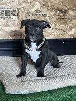 processed/567d3d52-13c8-4ff0-a9b6-3fafe7ec28d5/listing/a5addff4-6245-49dd-be93-dc3c14b77fe5/9d55b7ea-b156-48f4-925f-f055bd85ea6c