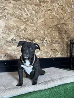 processed/567d3d52-13c8-4ff0-a9b6-3fafe7ec28d5/listing/a5addff4-6245-49dd-be93-dc3c14b77fe5/a48a061e-1836-4b49-b054-c22096ff5399