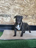 processed/567d3d52-13c8-4ff0-a9b6-3fafe7ec28d5/listing/a5addff4-6245-49dd-be93-dc3c14b77fe5/a4bef304-68ce-43b8-a14a-8d308bb9edf2