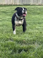 processed/567d3d52-13c8-4ff0-a9b6-3fafe7ec28d5/listing/a5addff4-6245-49dd-be93-dc3c14b77fe5/b0d0a29e-3b08-44f7-8ad0-d40b3a0fb180