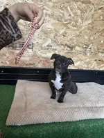 processed/567d3d52-13c8-4ff0-a9b6-3fafe7ec28d5/listing/a5addff4-6245-49dd-be93-dc3c14b77fe5/d5f5d697-8ac6-41b4-81b2-772dc807d651