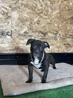 processed/567d3d52-13c8-4ff0-a9b6-3fafe7ec28d5/listing/a5addff4-6245-49dd-be93-dc3c14b77fe5/f64895ce-c1ba-45e3-9c8a-704084d090bd