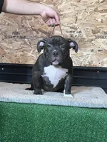 processed/567d3d52-13c8-4ff0-a9b6-3fafe7ec28d5/listing/ede6f581-2fcc-4a15-9845-7563024c88f2/01f84d98-7c52-47fc-8816-db29ca860a77