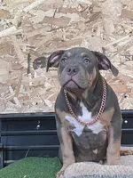 processed/567d3d52-13c8-4ff0-a9b6-3fafe7ec28d5/listing/f1ade9d0-8c93-4590-8b02-07340001746a/04bc155b-4a6a-4800-ab26-e27c022f0c77