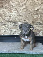 processed/567d3d52-13c8-4ff0-a9b6-3fafe7ec28d5/listing/f1ade9d0-8c93-4590-8b02-07340001746a/6ccbd04c-77e6-491d-894d-db81751e3341