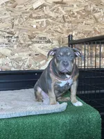 processed/567d3d52-13c8-4ff0-a9b6-3fafe7ec28d5/listing/f1ade9d0-8c93-4590-8b02-07340001746a/cd20d3f1-22a1-4fbe-9849-bcd9a4dc6920