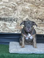 processed/567d3d52-13c8-4ff0-a9b6-3fafe7ec28d5/listing/f1ade9d0-8c93-4590-8b02-07340001746a/e9ca9bd9-00a6-4545-9382-f05bbd430f67