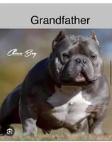 processed/567d3d52-13c8-4ff0-a9b6-3fafe7ec28d5/listing/f1ade9d0-8c93-4590-8b02-07340001746a/fc9a9680-2940-40e4-9b5a-2225fff3aae4