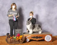 processed/567e3d95-cd39-4945-8e60-d693996d8bc8/facility/662fad2c-0839-4e0c-99b5-d08180e801a7