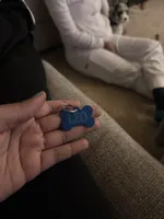 Leo, a male Miniature Bernedoodle for sale in Cleveland, OH – Photo 3 of 7