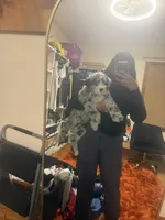 Leo, a male Miniature Bernedoodle for sale in Cleveland, OH – Photo 6 of 7