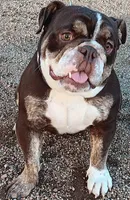 processed/5689364e-93a5-403b-a545-19ab11a3858b/facility/49dfcb16-a8ac-4a7d-aafc-ca671f5273d8