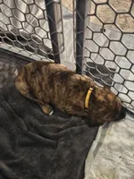 processed/5691d3f3-973a-4c21-8223-d876648b050d/listing/9804b2f4-7f25-4197-9c63-057329b391fb/53ae638d-b40e-419f-999f-00517c09225f