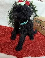 processed/5695edc8-7e2e-4a4d-8c1d-22dd100cf3c8/listing/2ba64548-8212-4f26-897d-23d55e362473/2aa52fbe-f23d-456a-86be-414ebe6b2bc4