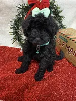 processed/5695edc8-7e2e-4a4d-8c1d-22dd100cf3c8/listing/2ba64548-8212-4f26-897d-23d55e362473/5615dafd-4efe-4203-9194-9991bd825a37