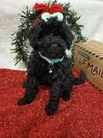 processed/5695edc8-7e2e-4a4d-8c1d-22dd100cf3c8/listing/2ba64548-8212-4f26-897d-23d55e362473/7749a0f7-a2ef-4683-839f-50379d917664