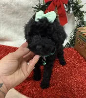 processed/5695edc8-7e2e-4a4d-8c1d-22dd100cf3c8/listing/2ba64548-8212-4f26-897d-23d55e362473/b2fb93e2-8e76-4ef5-96a4-4325539c8d82